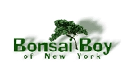 bonsai-boy-new-york-Coupon-Code-RhinoShoppingcart