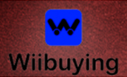 Wiibuying-Coupon-Codes-RhinoShoppingcart