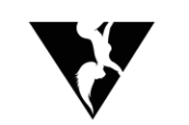 verticalactivewear-coupon-Codes-RhinoShoppingcart